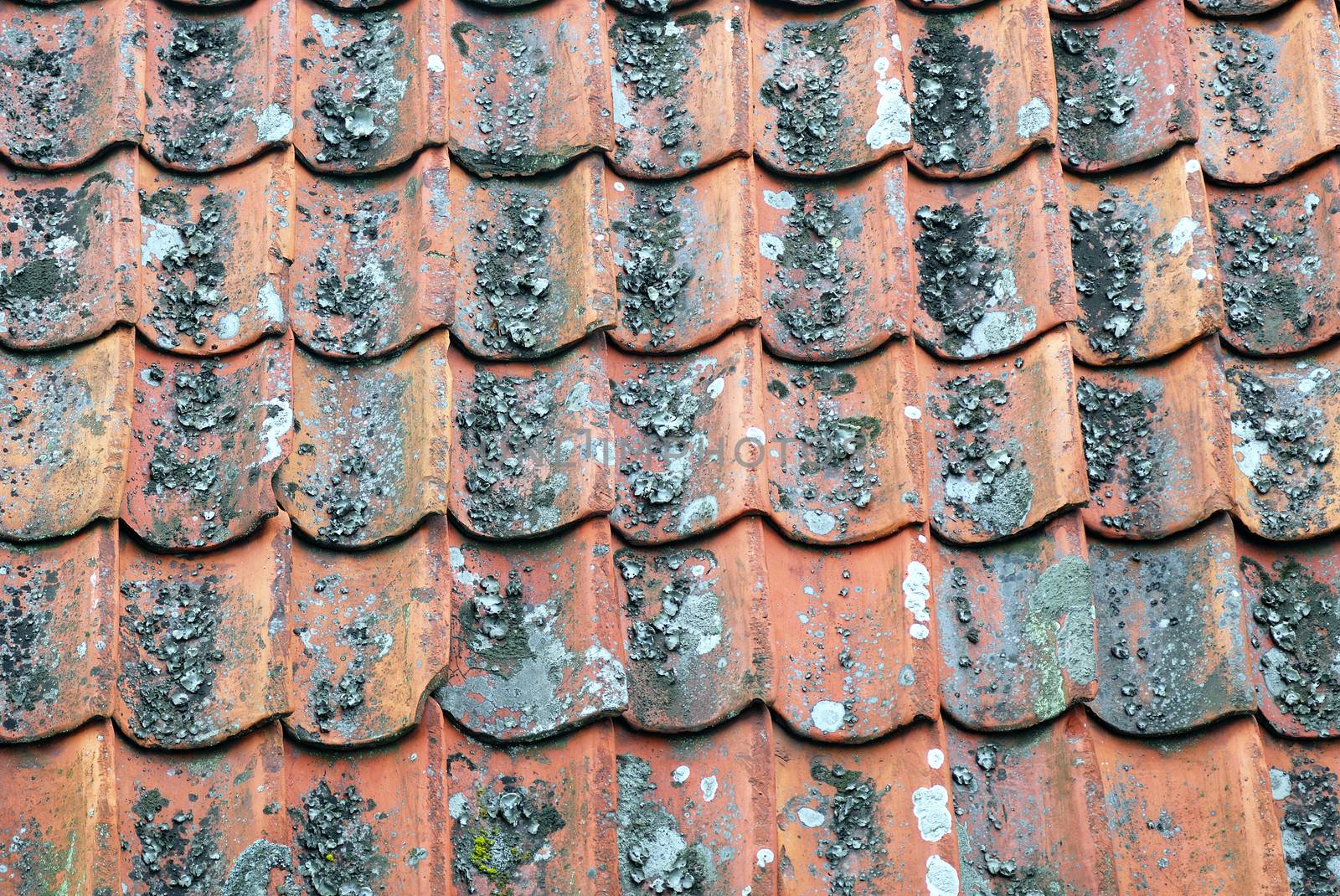 Red tiled roof by a40757