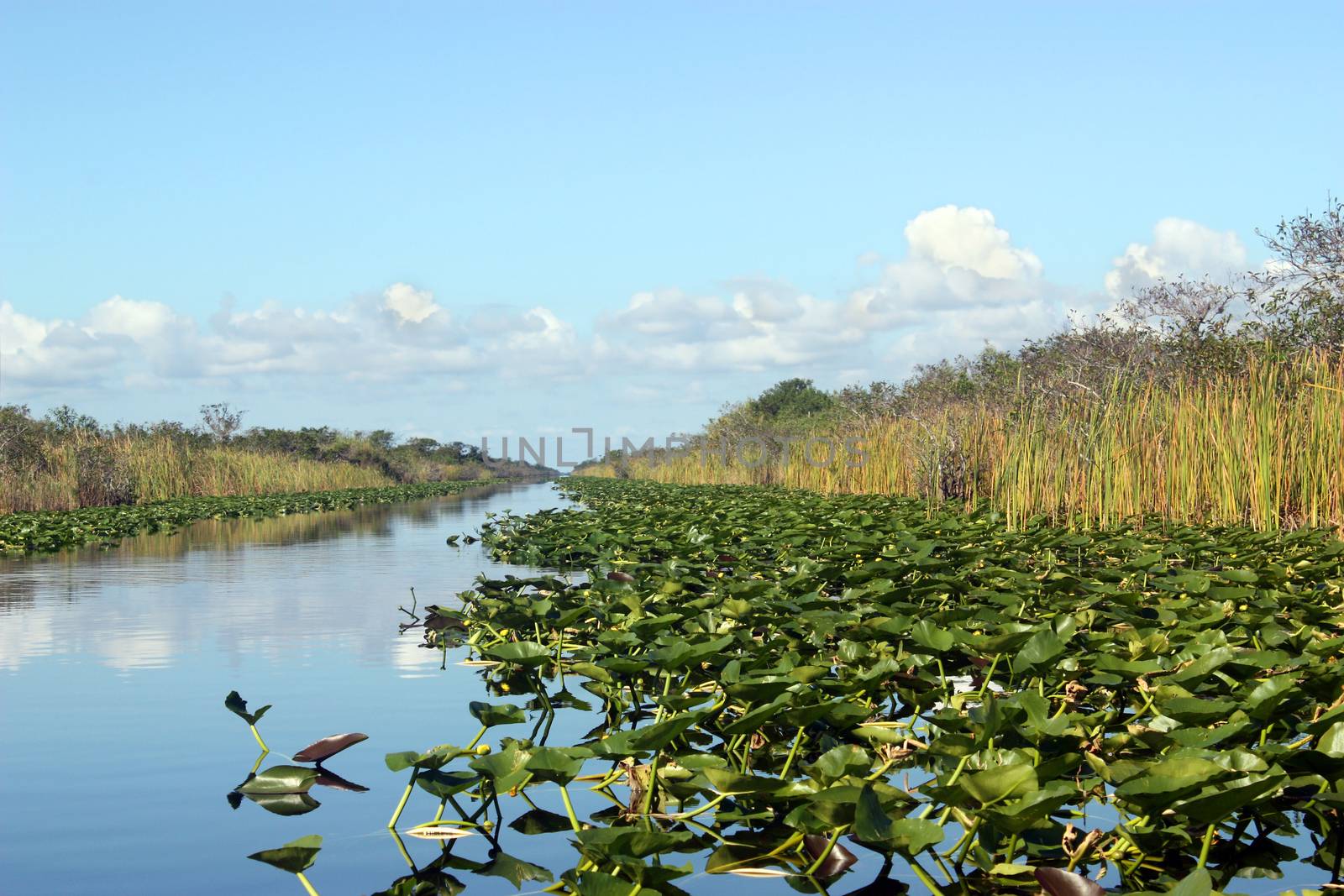 Everglades National Park in Florida