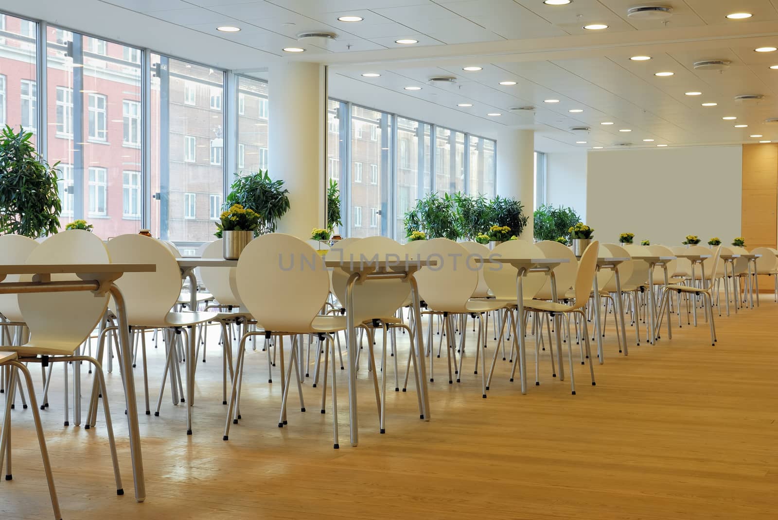 An empty cafeteria interior shot. Large windows letting in light.