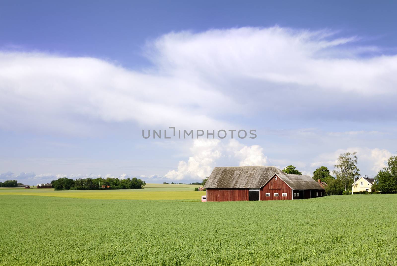 Swedish landscape with farm.