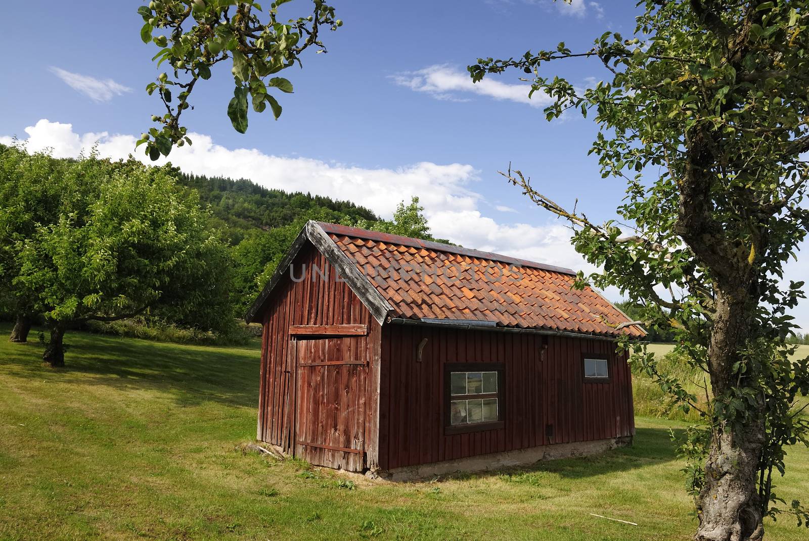 Old Cottage in Sweden