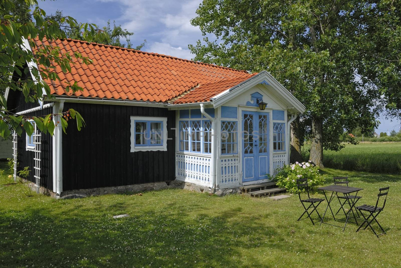 Small brown cottage by a green summer meadow.