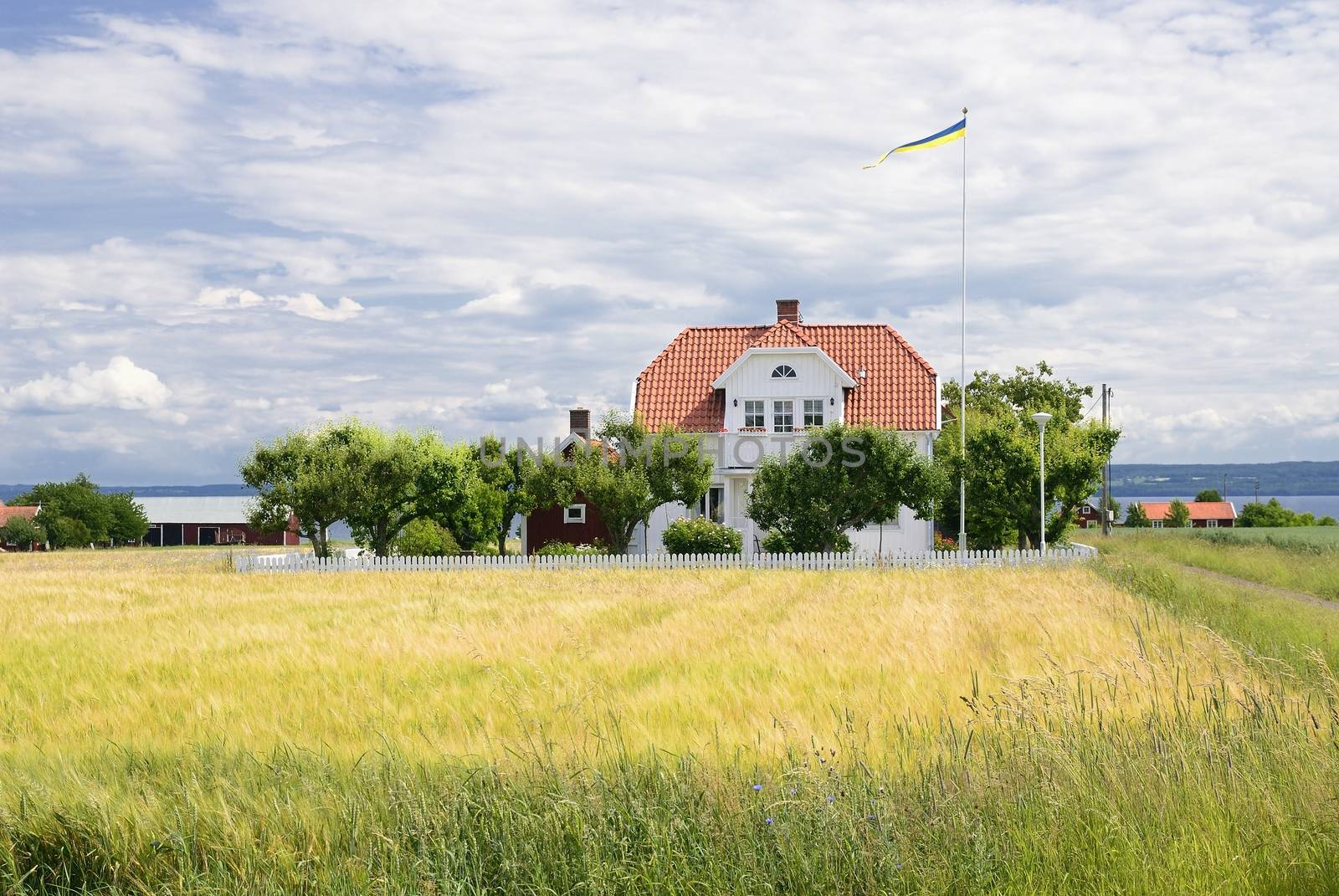 Small white cottage by a summer field.