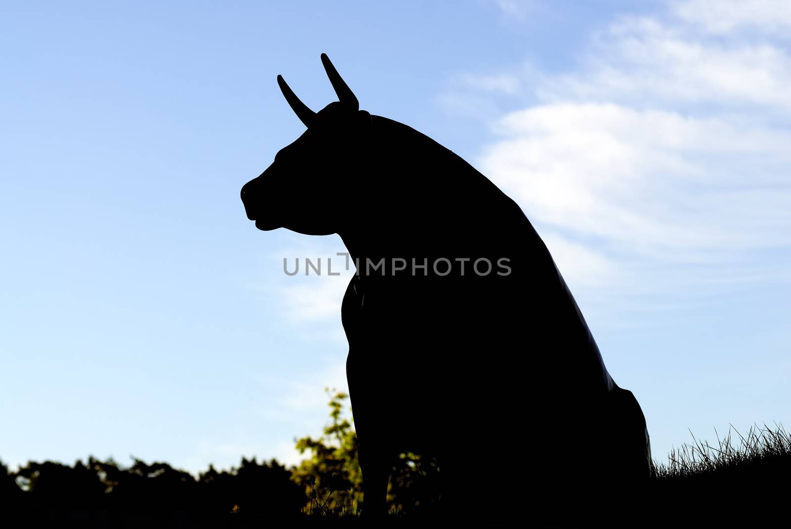 Silhouette shot of bull against blue sky.
