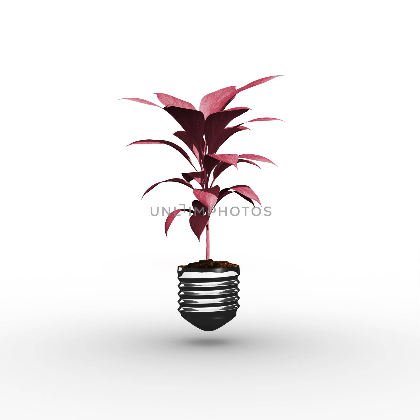 Empty light bulb against little green seedling with leaves growing