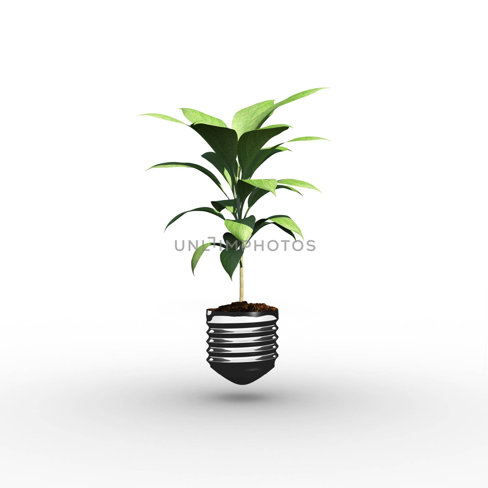 Empty light bulb against little green seedling with leaves growing