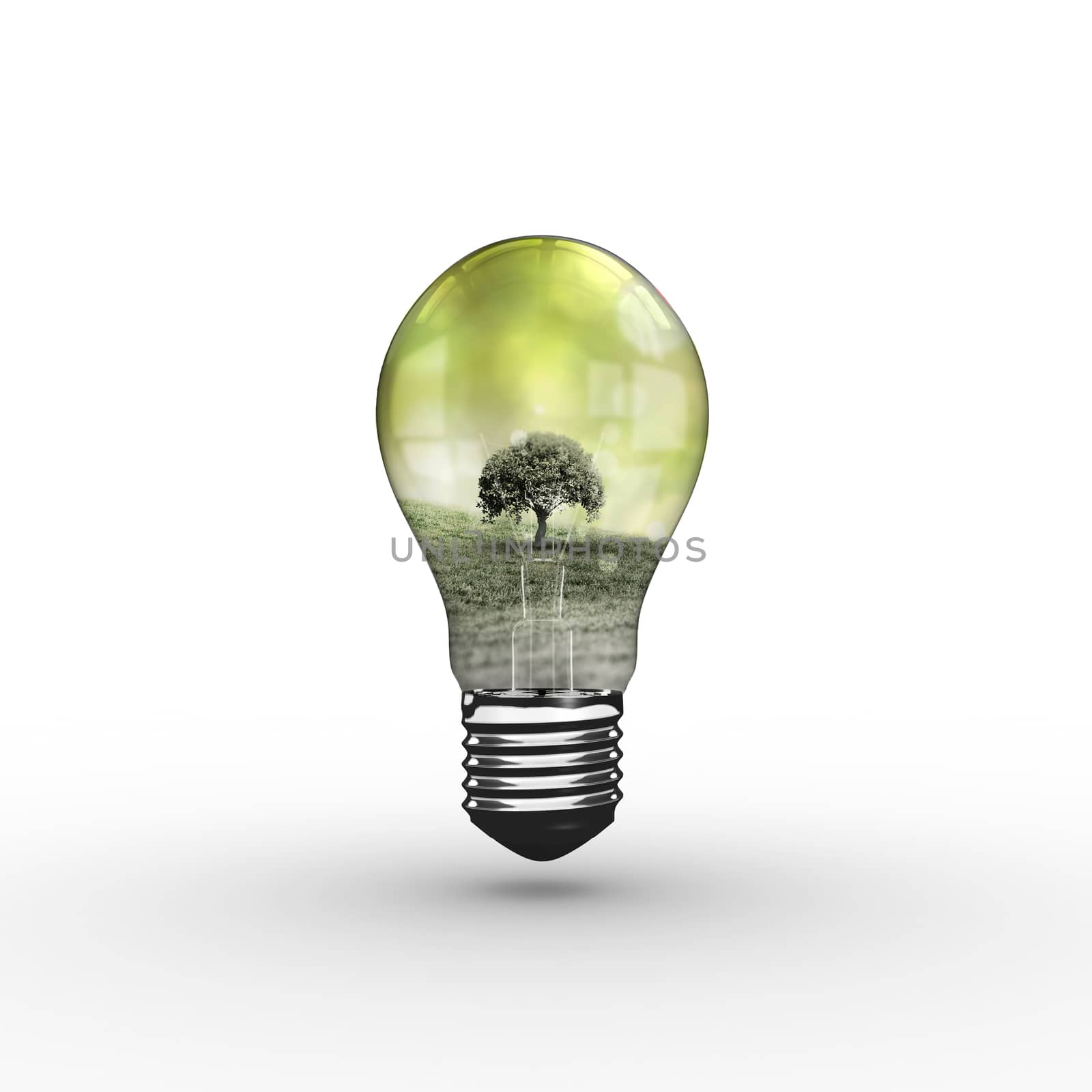 Empty light bulb against green grass