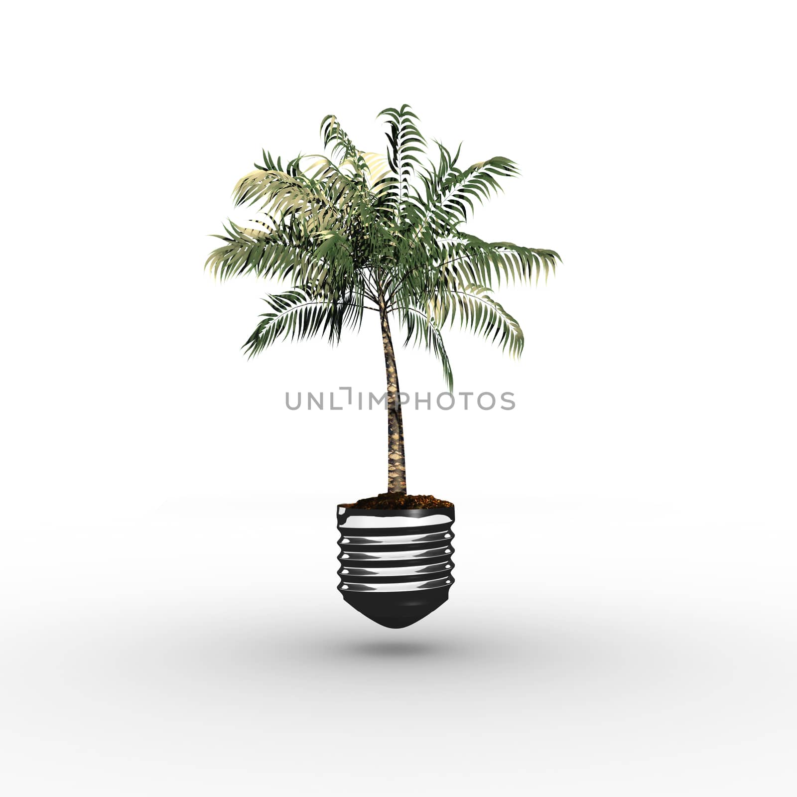 Empty light bulb against tropical palm tree with green foilage