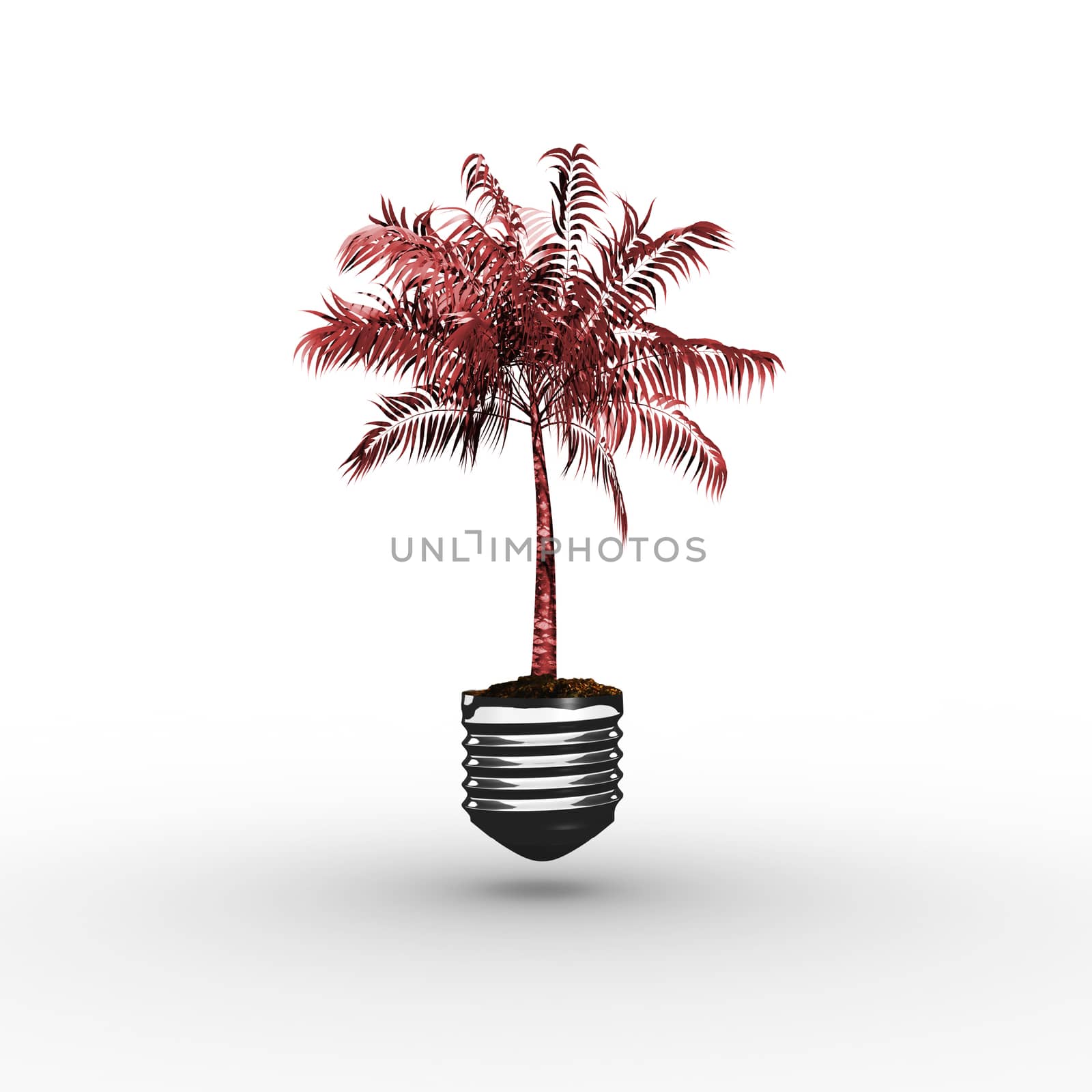 Empty light bulb against tropical palm tree with green foilage