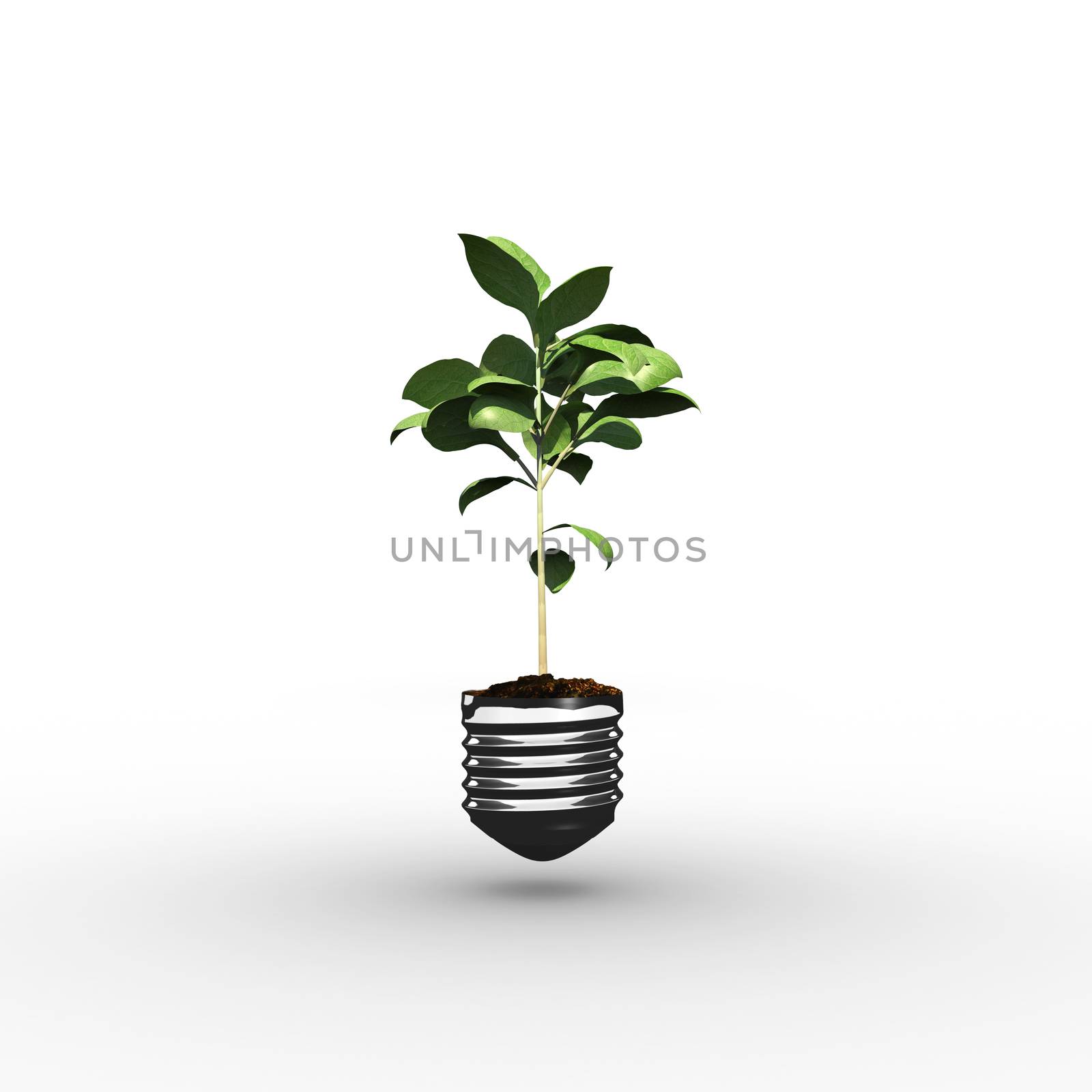 Empty light bulb against little green seedling with leaves growing