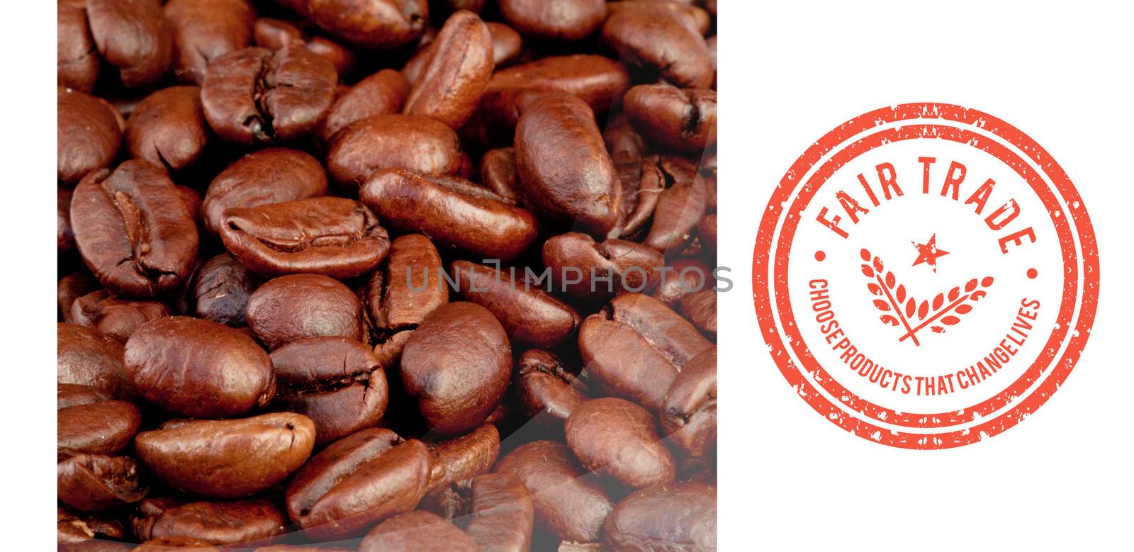 Fair Trade graphic against coffee seeds laid out together