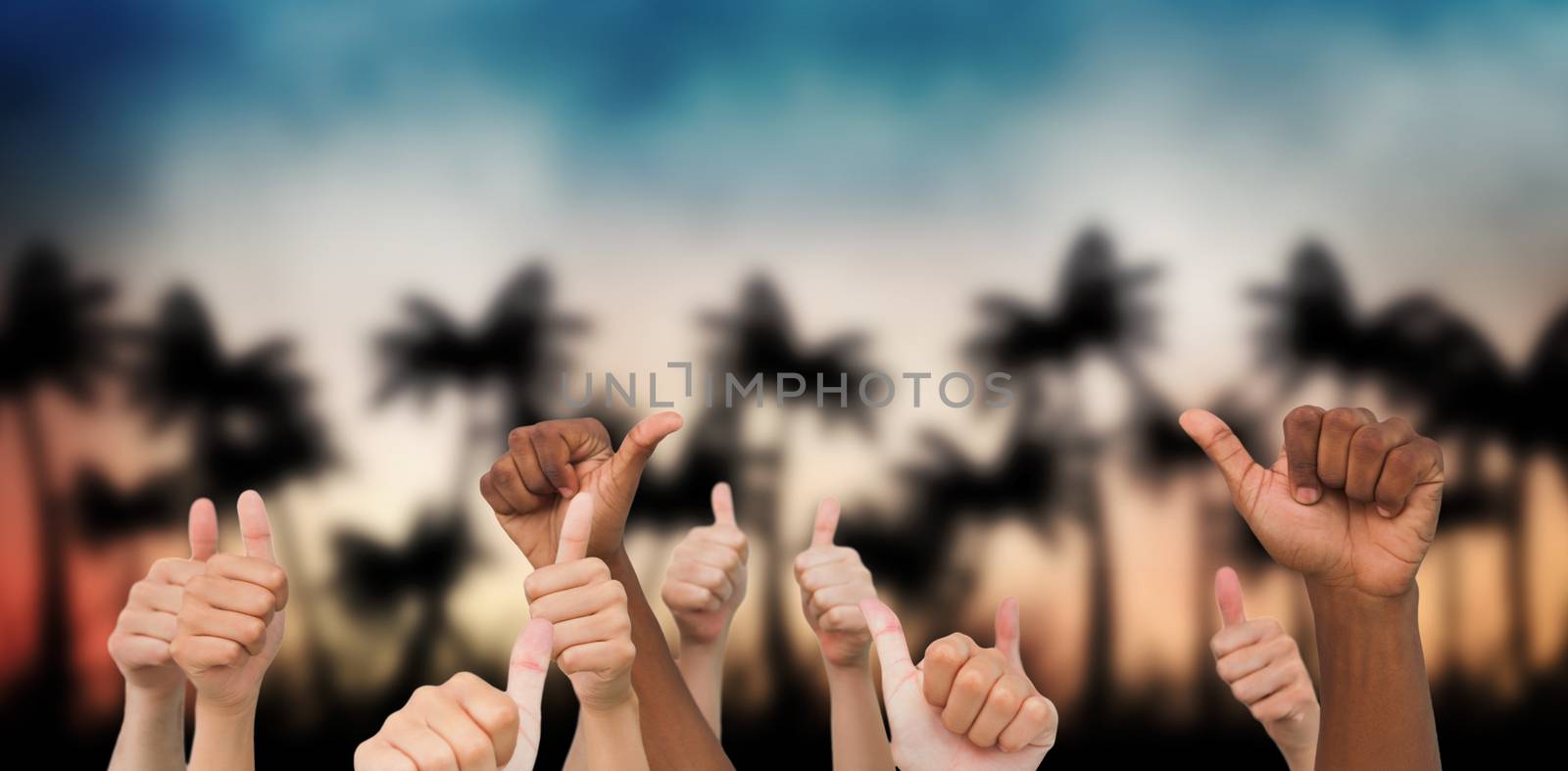 Hands giving thumbs up  against digitally generated palm tree background