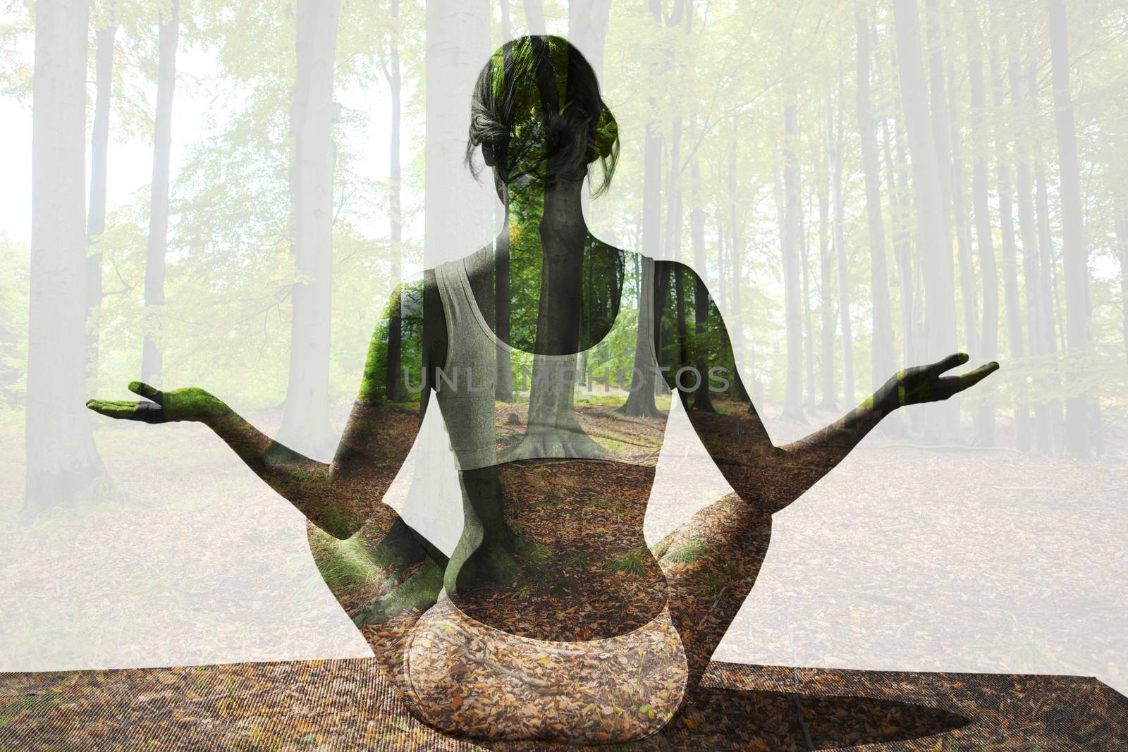 Fit woman sitting in lotus pose  against tree trunks in the forest