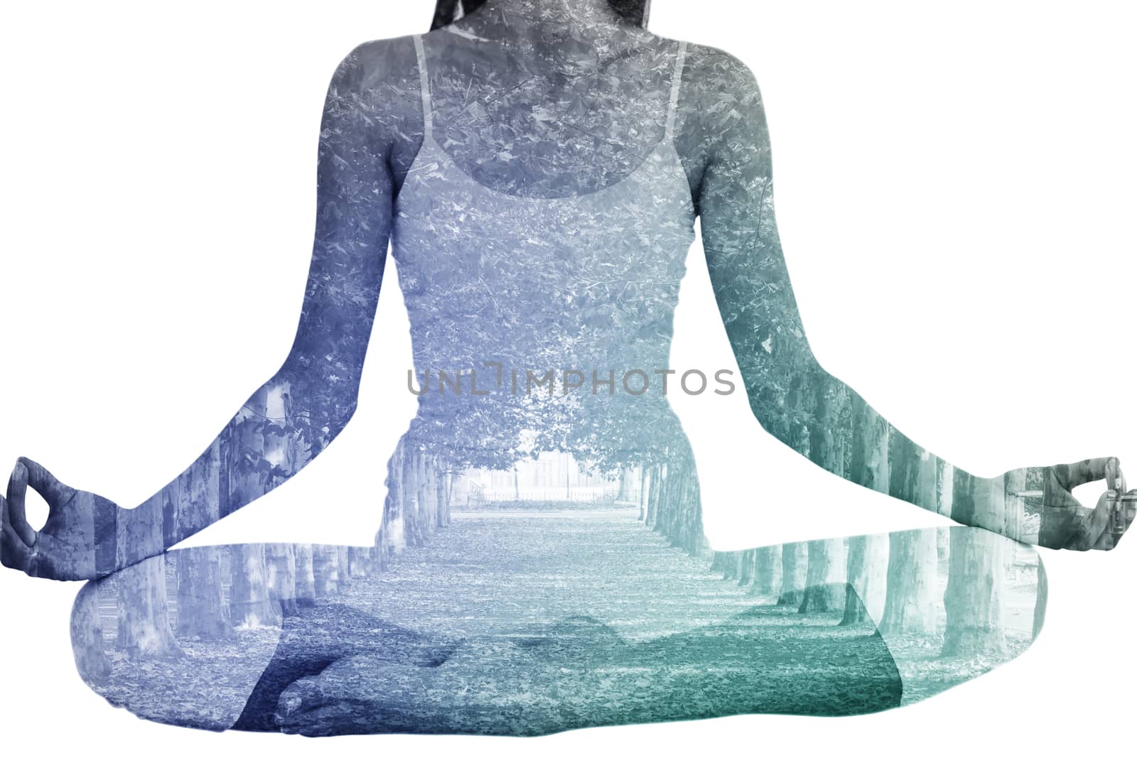 Toned woman in lotus pose at fitness studio against walkway along lined trees in the park