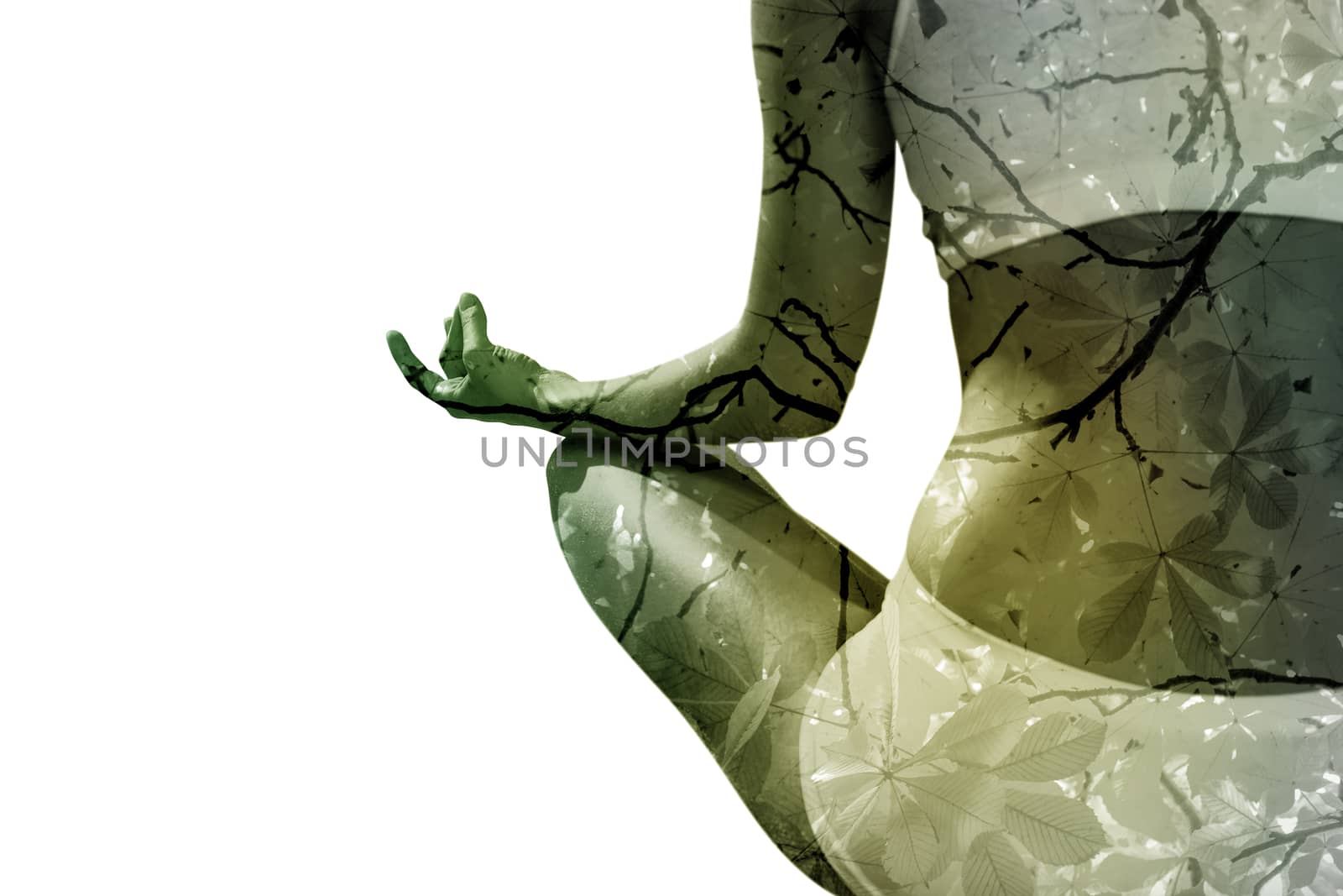 Fit woman sitting in lotus pose  against branches and autumnal leaves