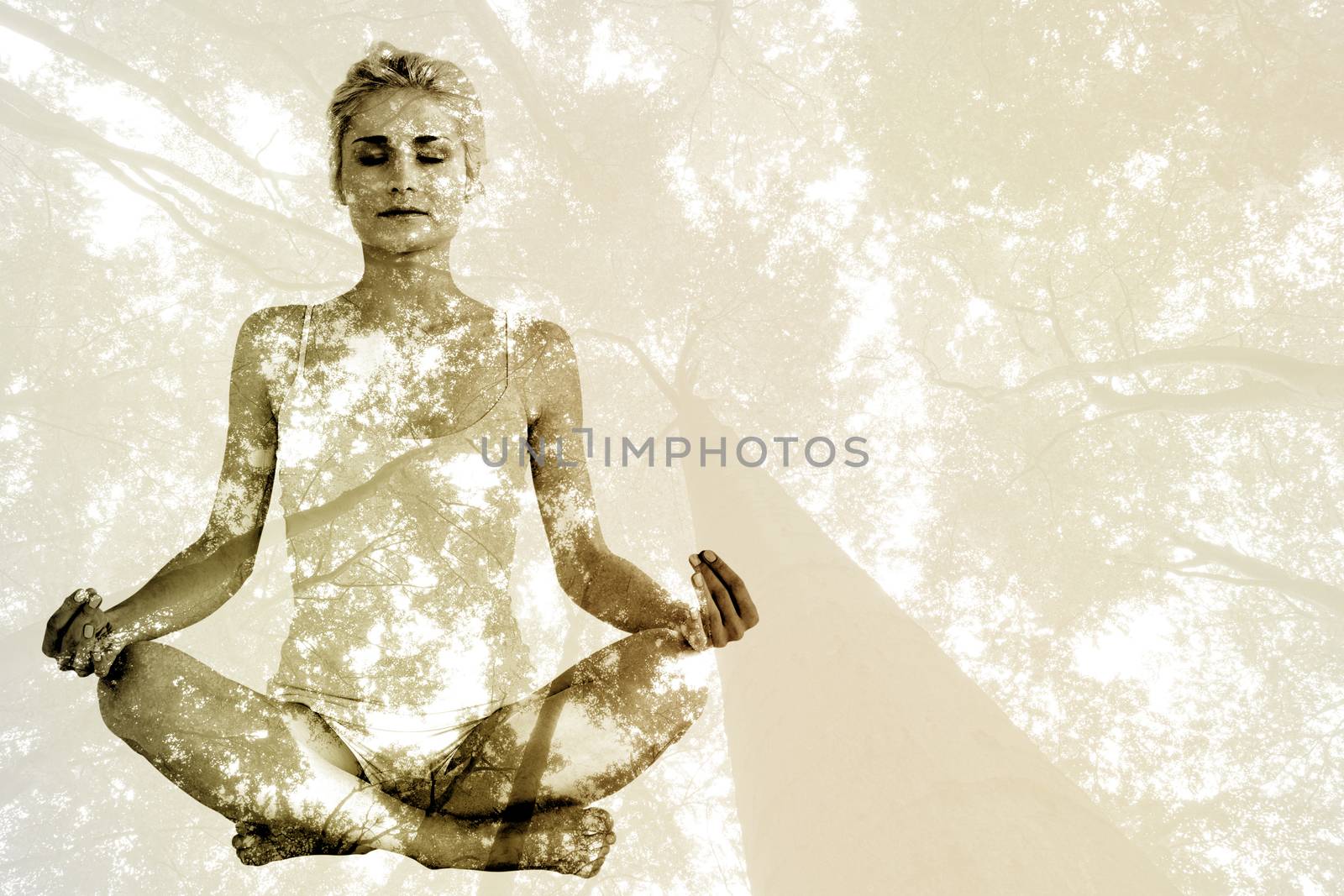 Toned young woman sitting in lotus pose with eyes closed against low angle view of tall trees