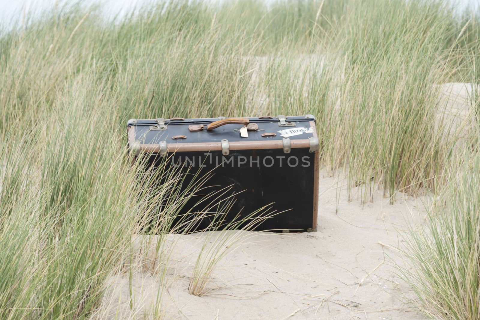 old vintgae suitcase in the dunes by compuinfoto