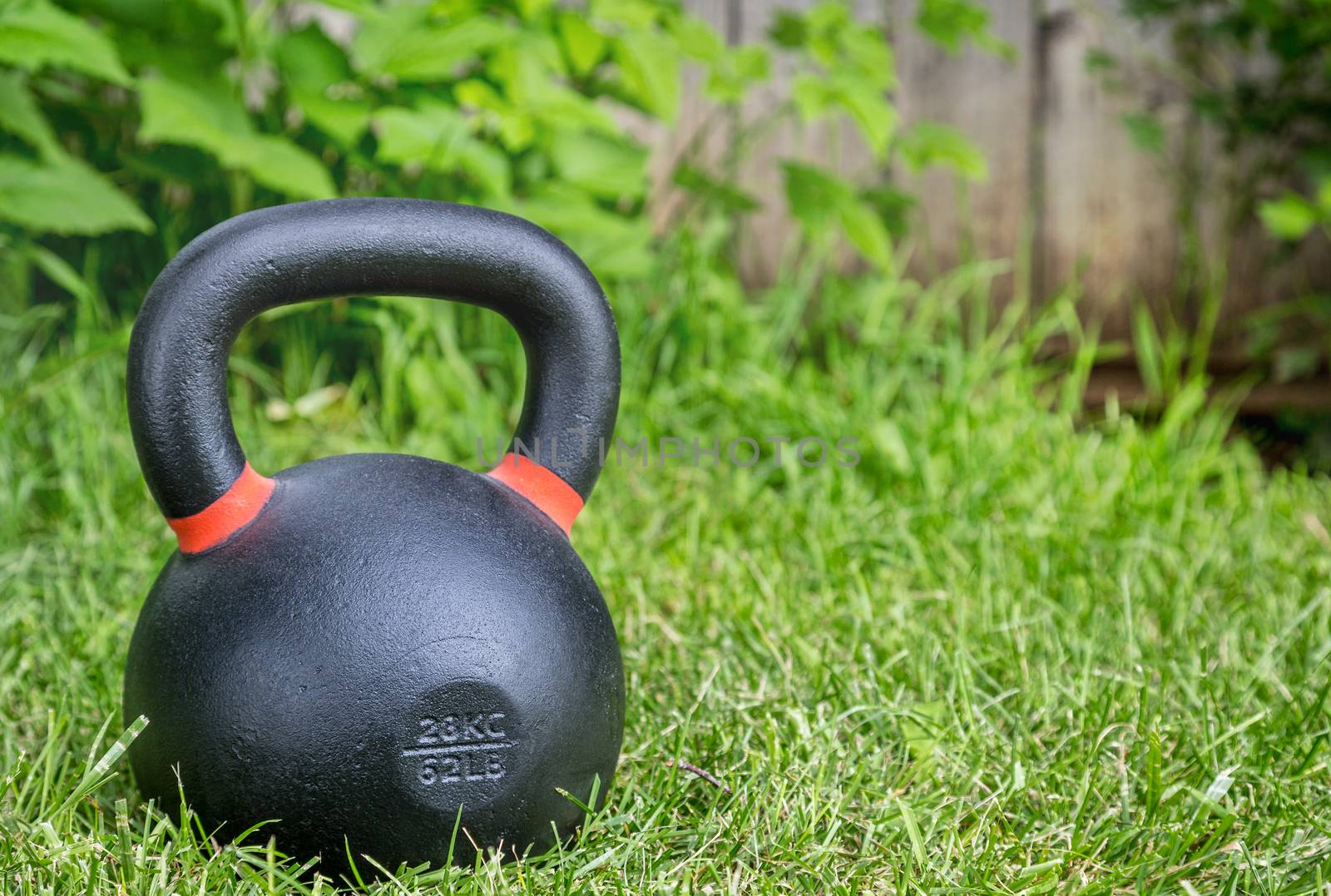 heavy iron competition kettlebell (62lb - 28 kg) on green grass in a backyard - outdoor fitness concept