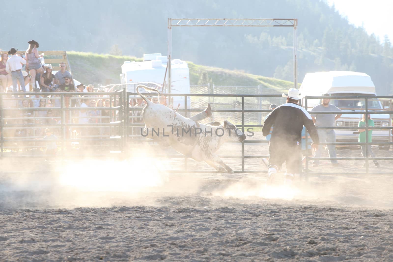 MERRITT; B.C. CANADA - May 30; 2015: Steer Rider The 3rd Annual Ty Pozzobon Invitational PBR Event.