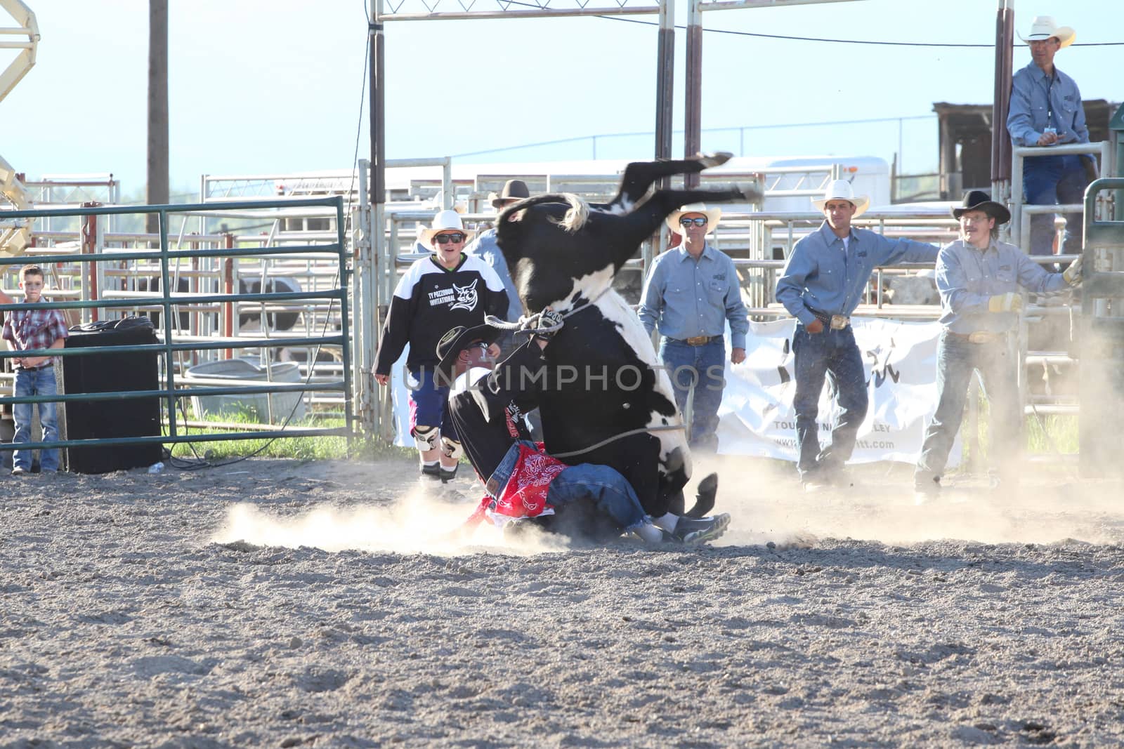 MERRITT; B.C. CANADA - May 30; 2015: Steer Rider The 3rd Annual Ty Pozzobon Invitational PBR Event.