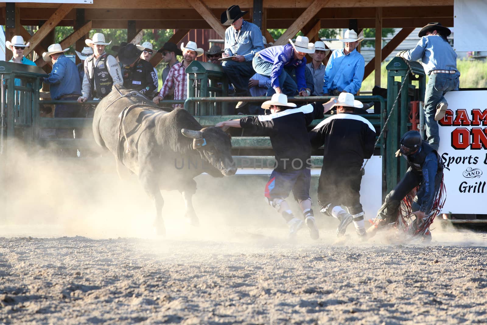 MERRITT, B.C. CANADA - May 30, 2015: Bull rider riding in the final round of The 3rd Annual Ty Pozzobon Invitational PBR Event.