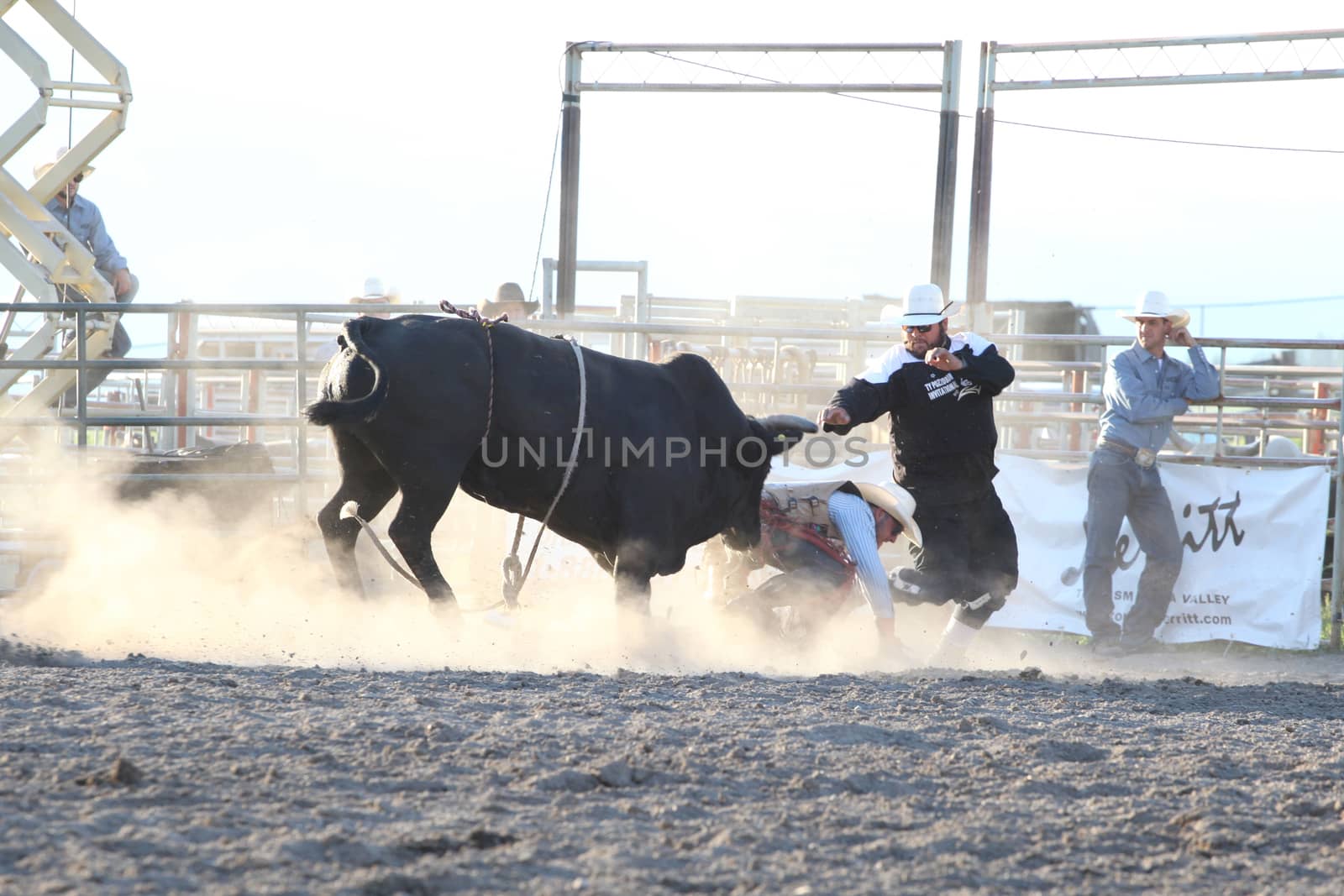 Ty Pozzobon Invitational PBR by vanell