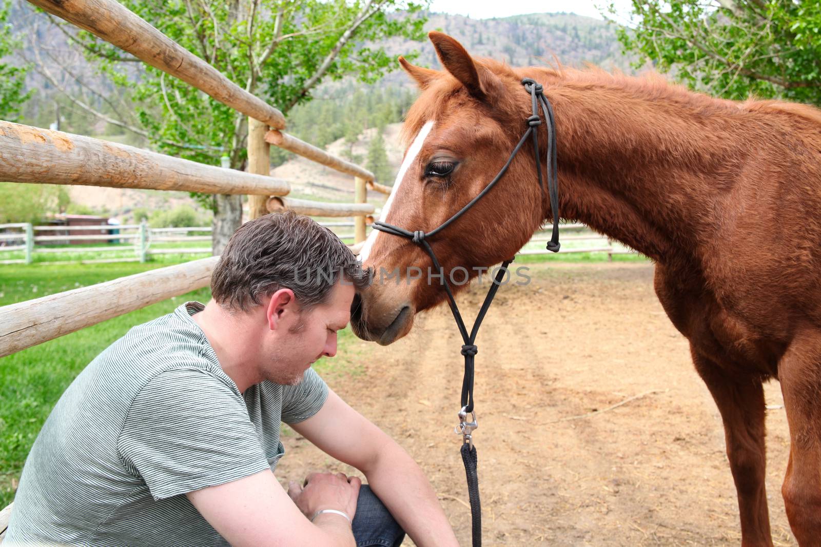 Young rancher and his trusting colt on ranch