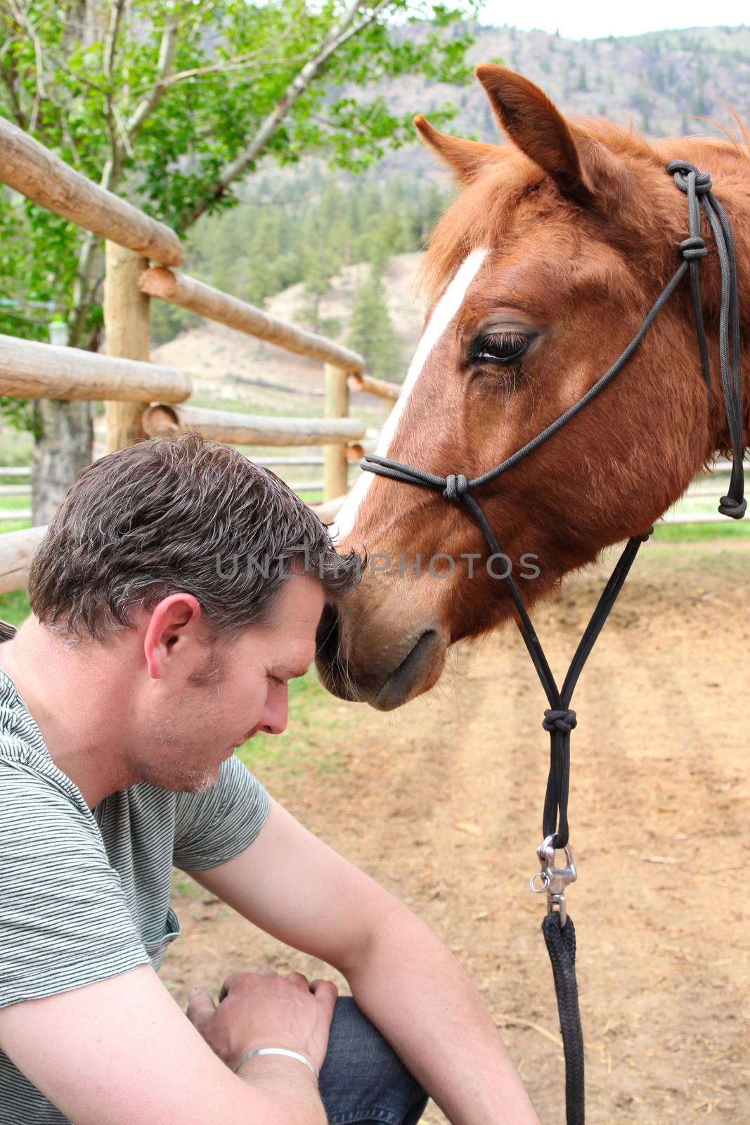 Young rancher and his trusting colt on ranch