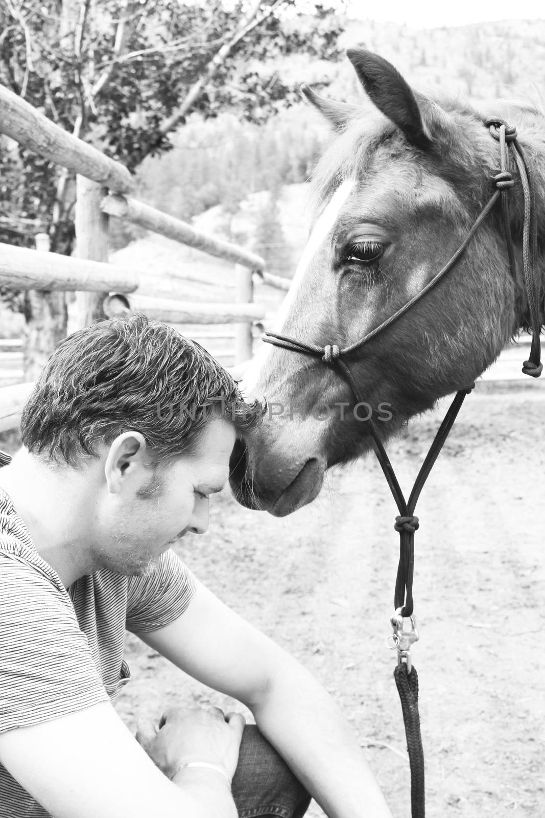 Young rancher and his trusting colt on ranch