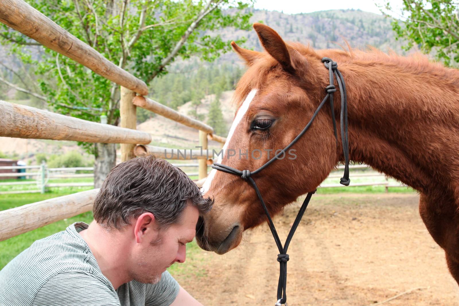 Young rancher and his trusting colt on ranch