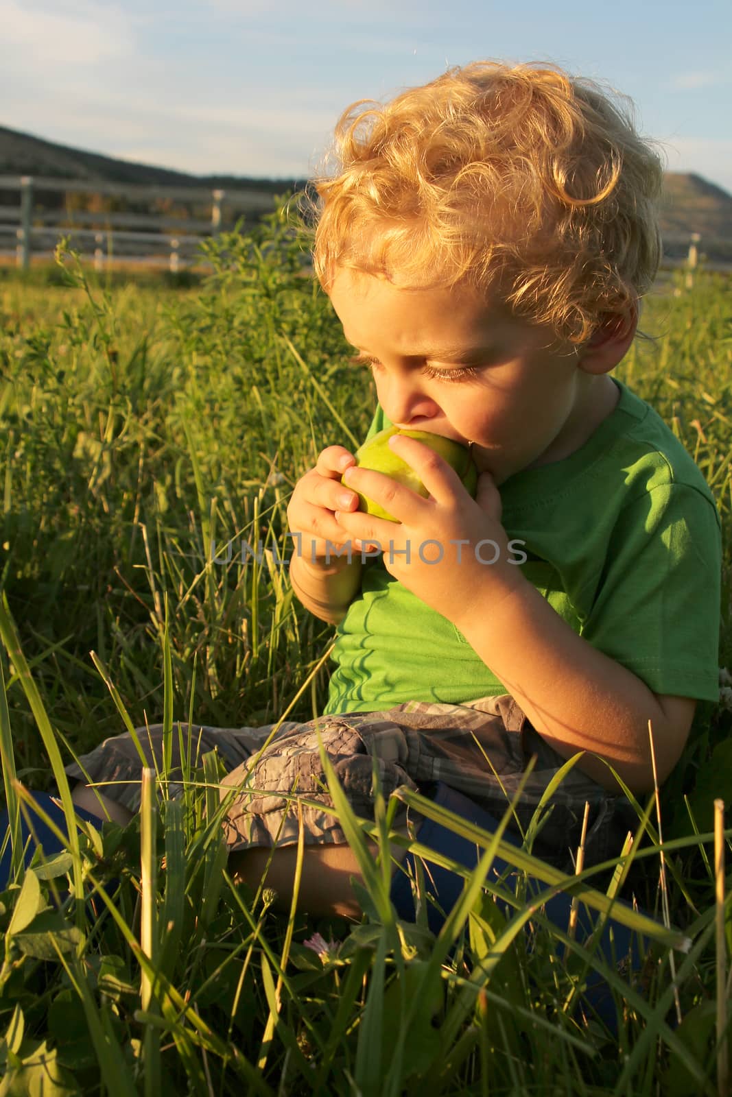 Blonde toddler boy playing outside in the field