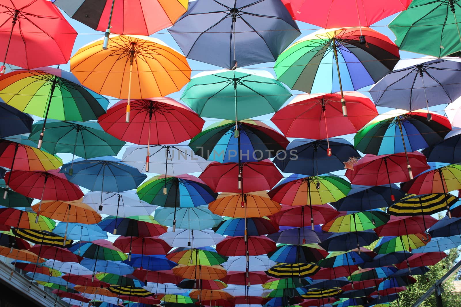Under a rainbow of umbrellas. by nurjan100