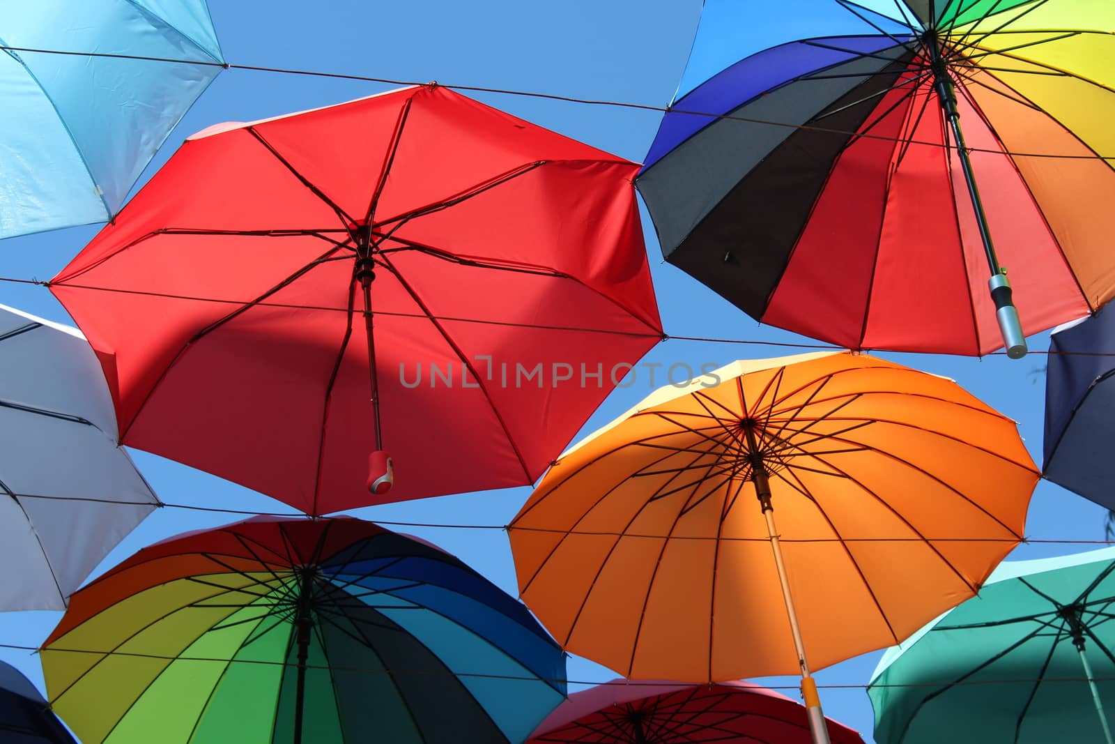 Under a rainbow of umbrellas. by nurjan100