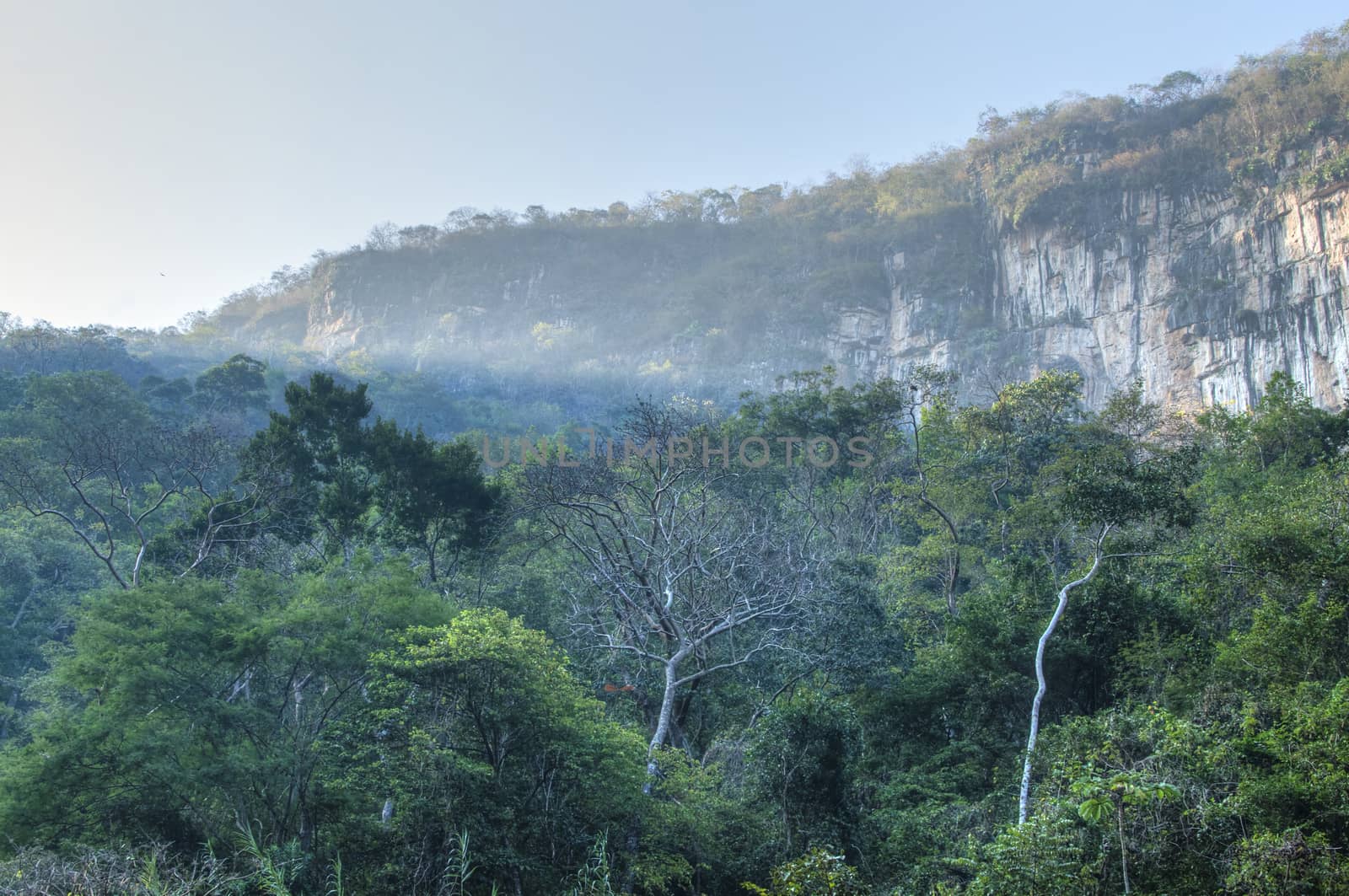 First light of day illuminates top of canyon above dense tropical forest in Cañon La Venta, Chiapas, Mexico