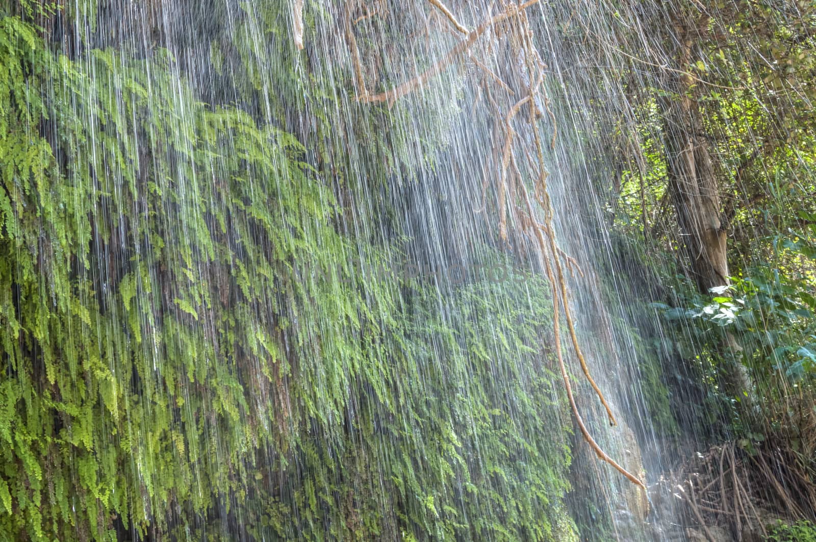Closeup tropical waterfall by shakzu