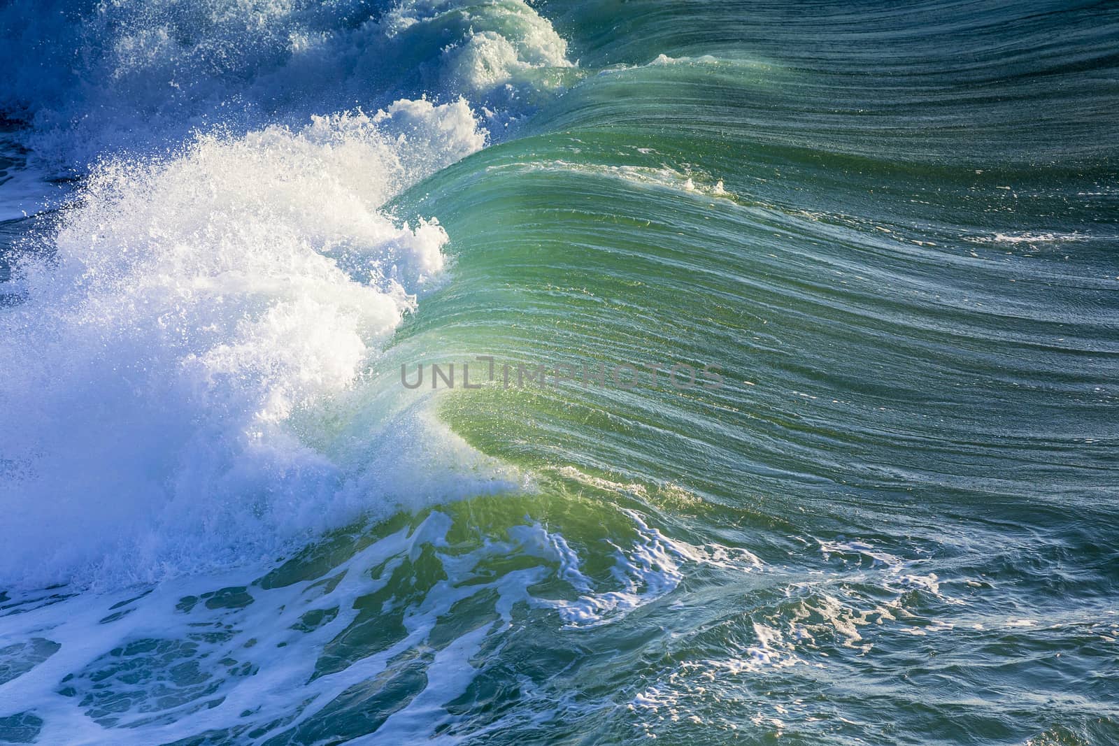 Ocean wave by truphoto