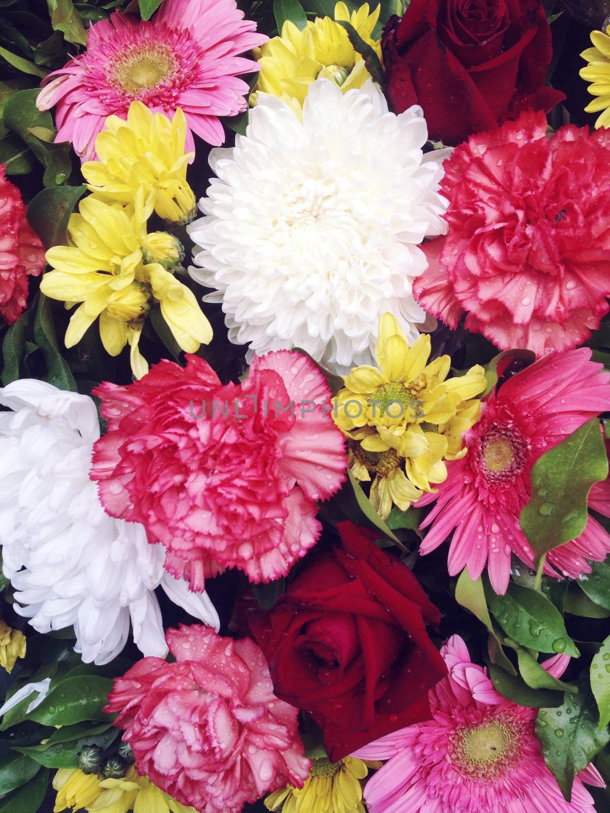 Bouquet of colorful flowers background texture