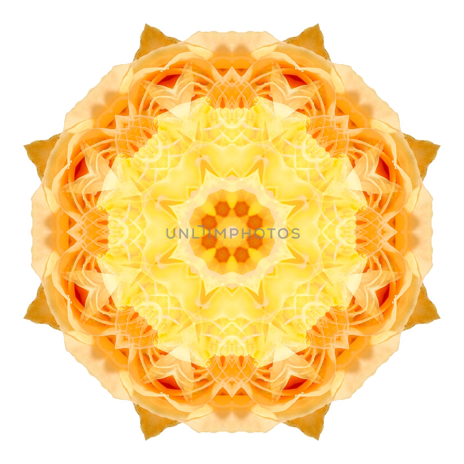 Flower mandala isolated on white background