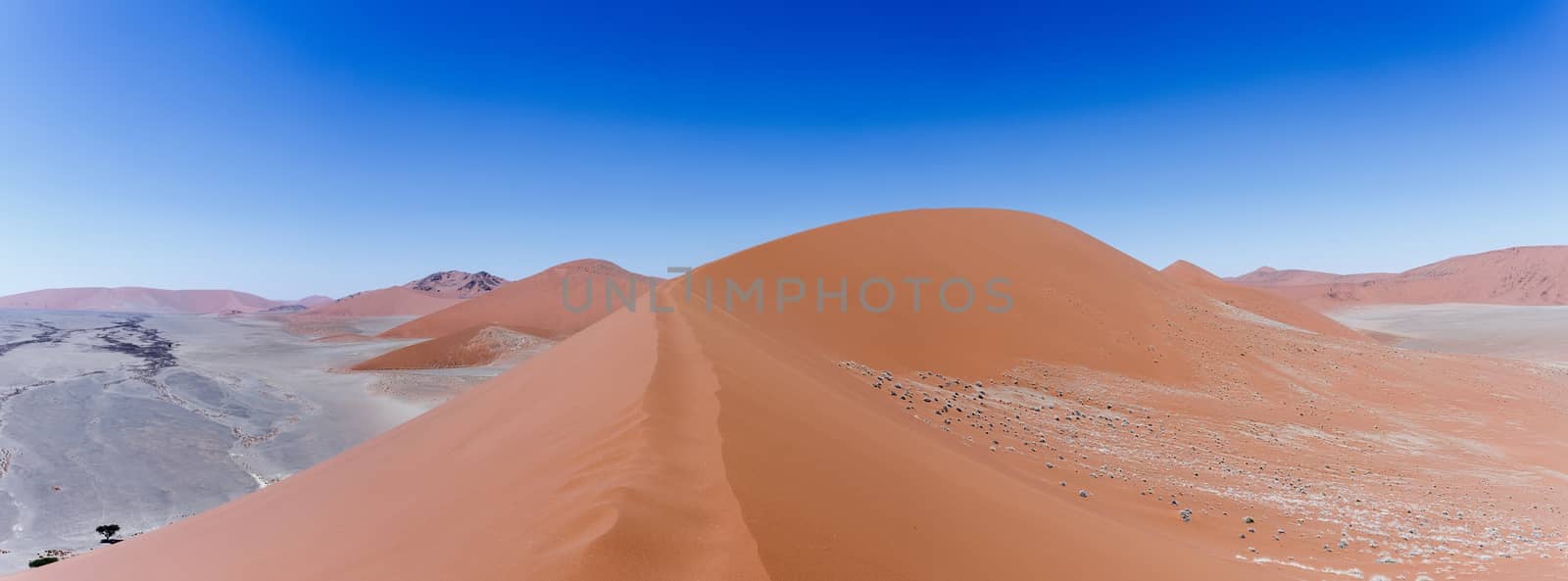 Dune 45 in sossusvlei Namibia, view from the top of a Dune 45 in by artush