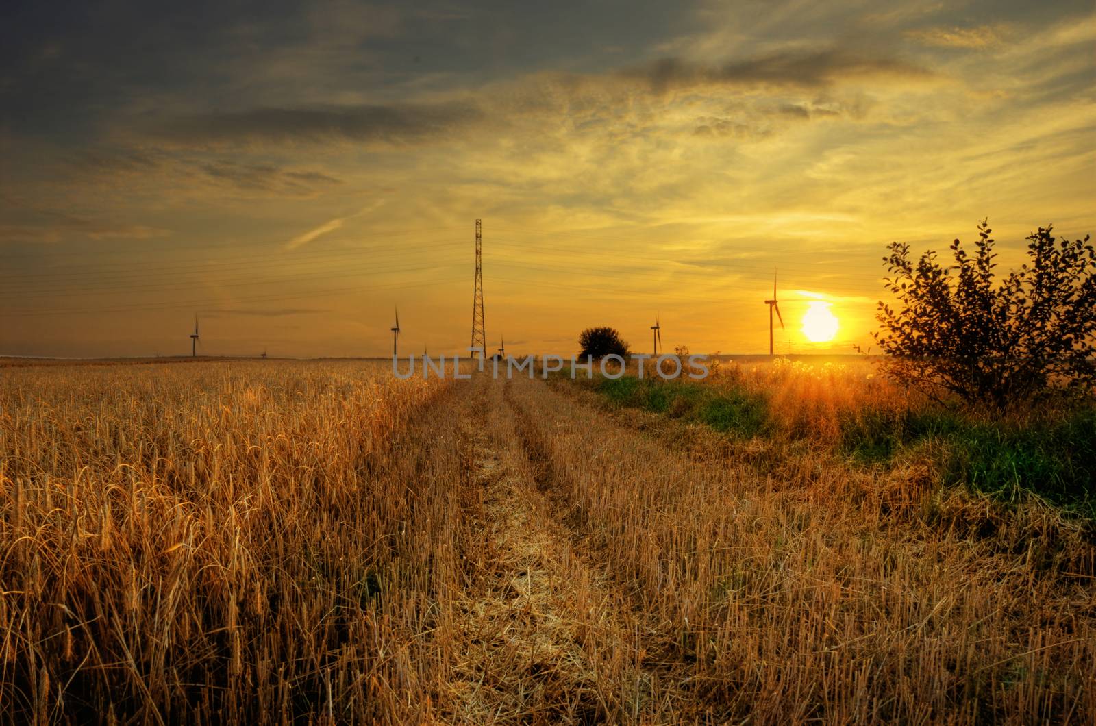 HDR picture of sundown on the field.