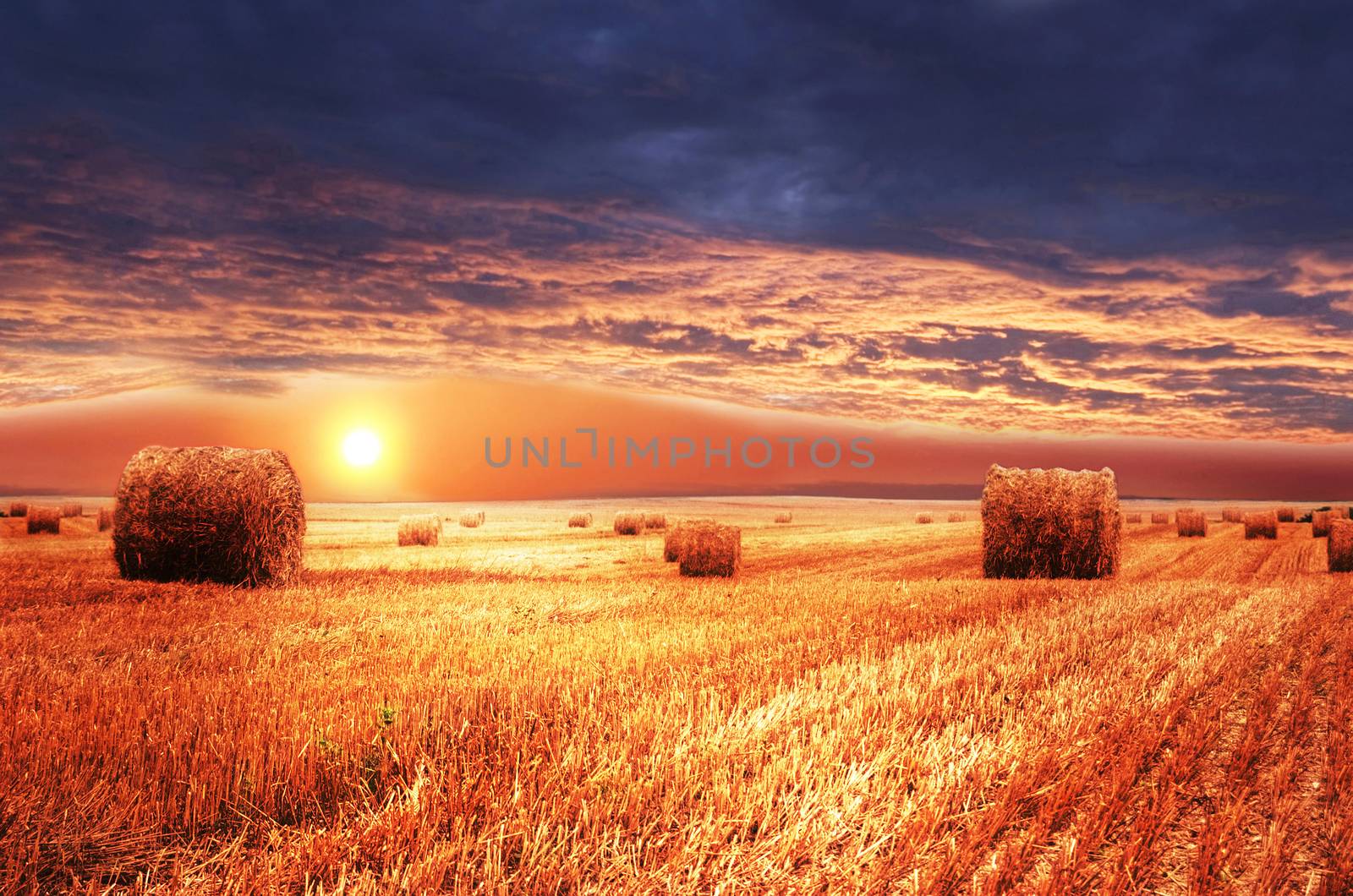 Rural landscape. Sundown on farm field.