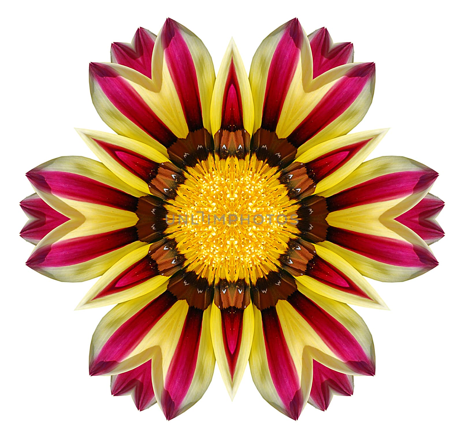 Flower mandala isolated on white background