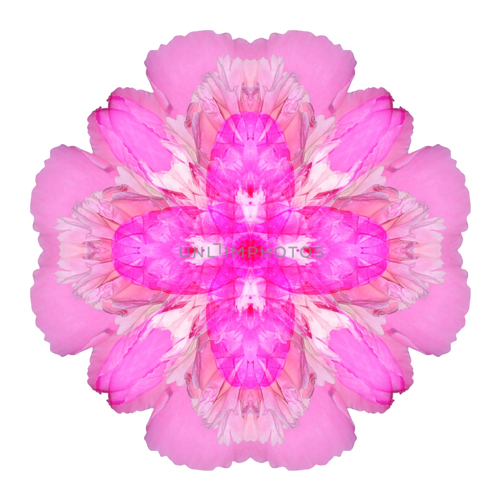 Flower mandala isolated on white background