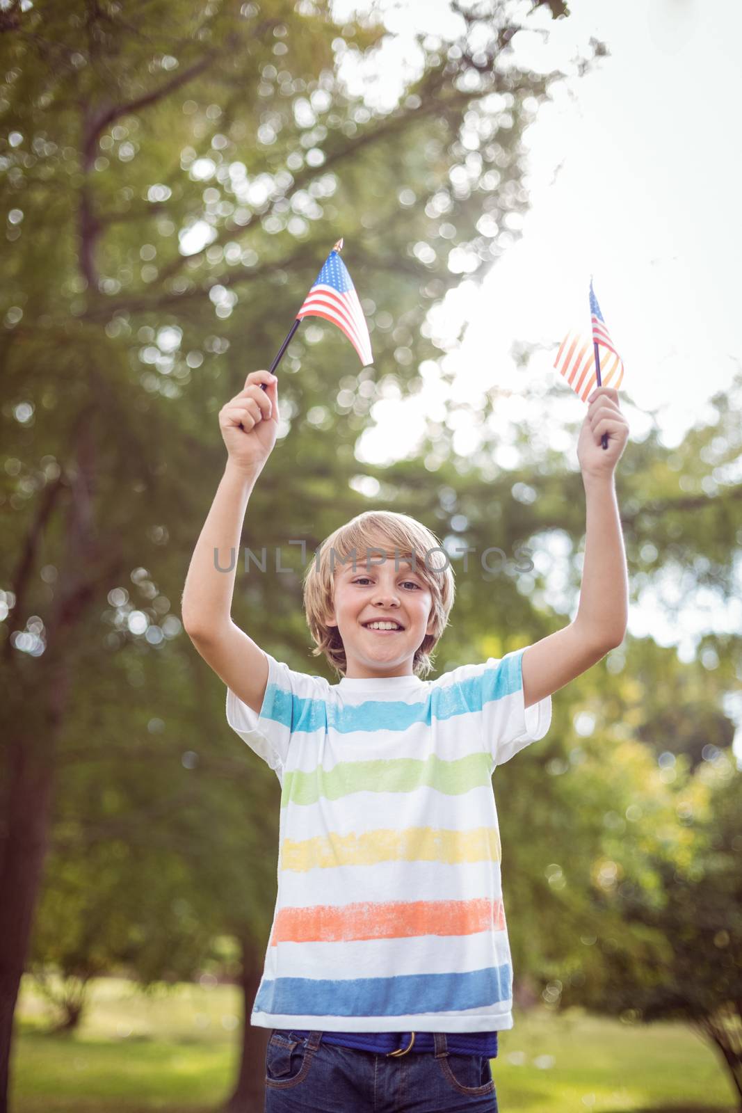 Young boy holding an american flag on a sunny day 