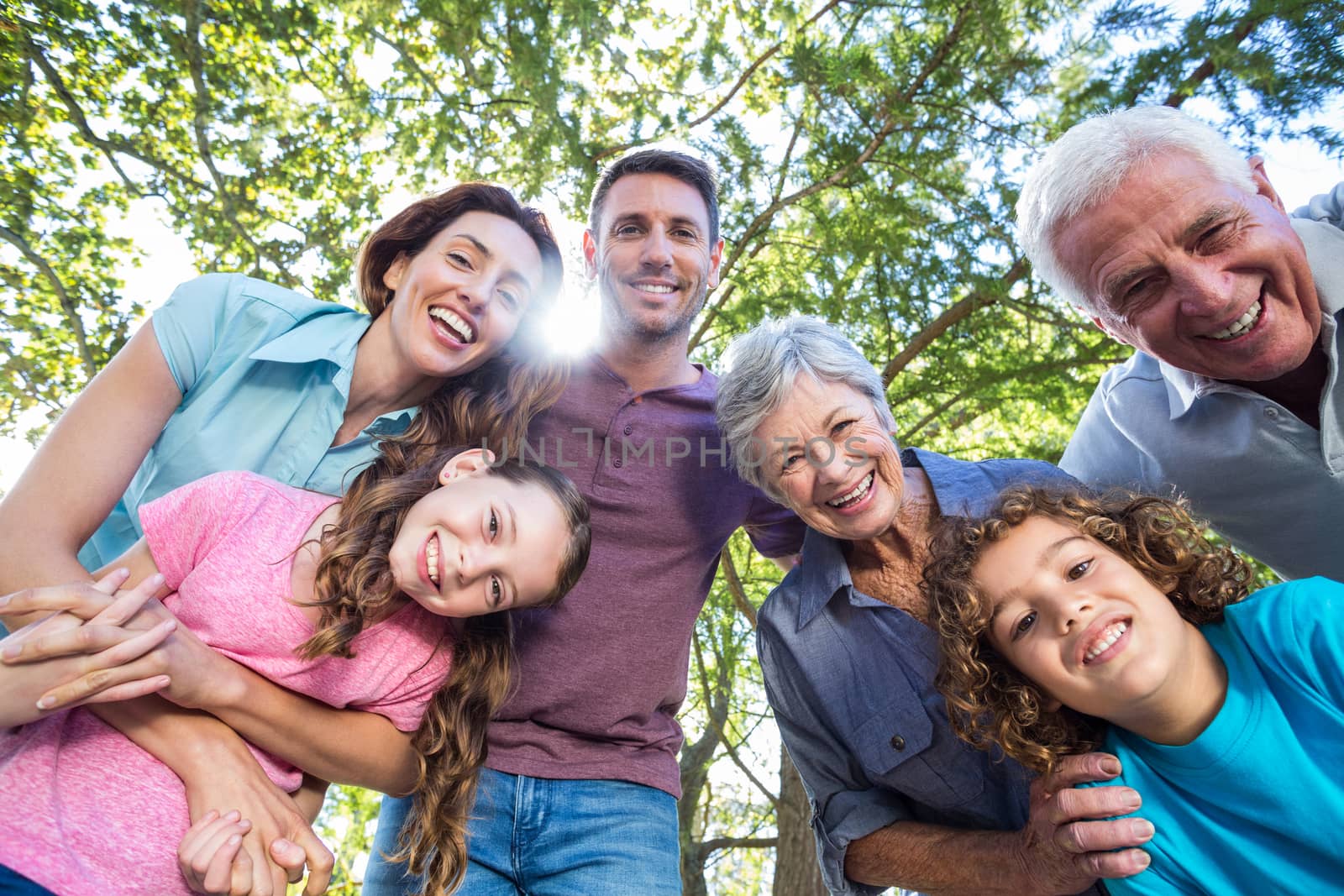 Extended family smiling in the park by Wavebreakmedia