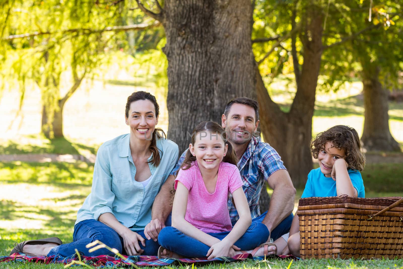 Happy family on a picnic in the park  by Wavebreakmedia