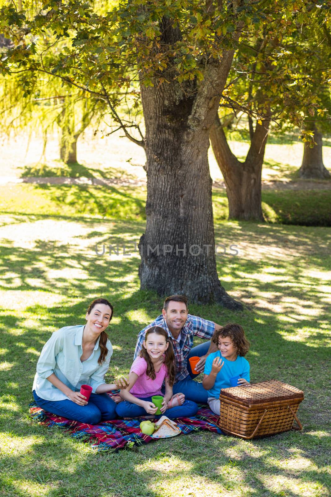 Happy family on a picnic in the park  by Wavebreakmedia