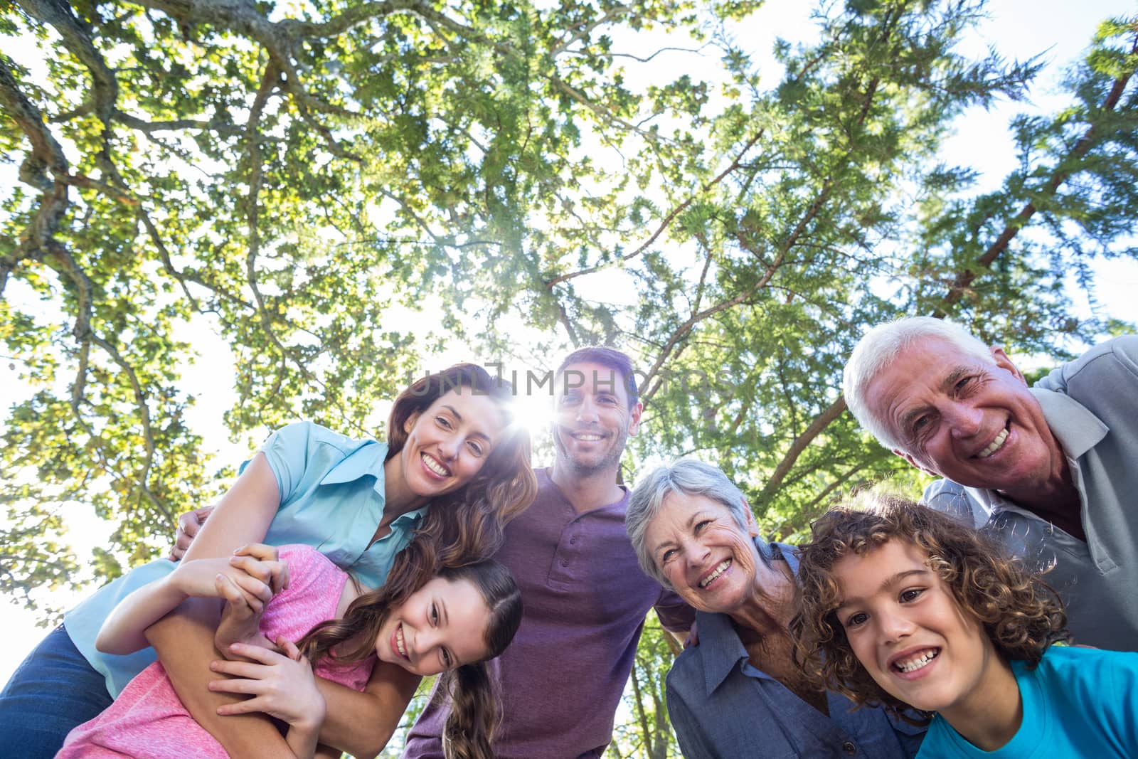 Extended family smiling in the park by Wavebreakmedia