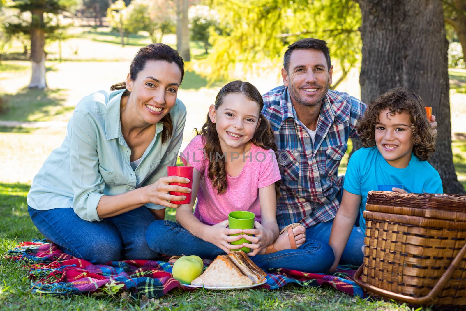 Happy family on a picnic in the park  by Wavebreakmedia