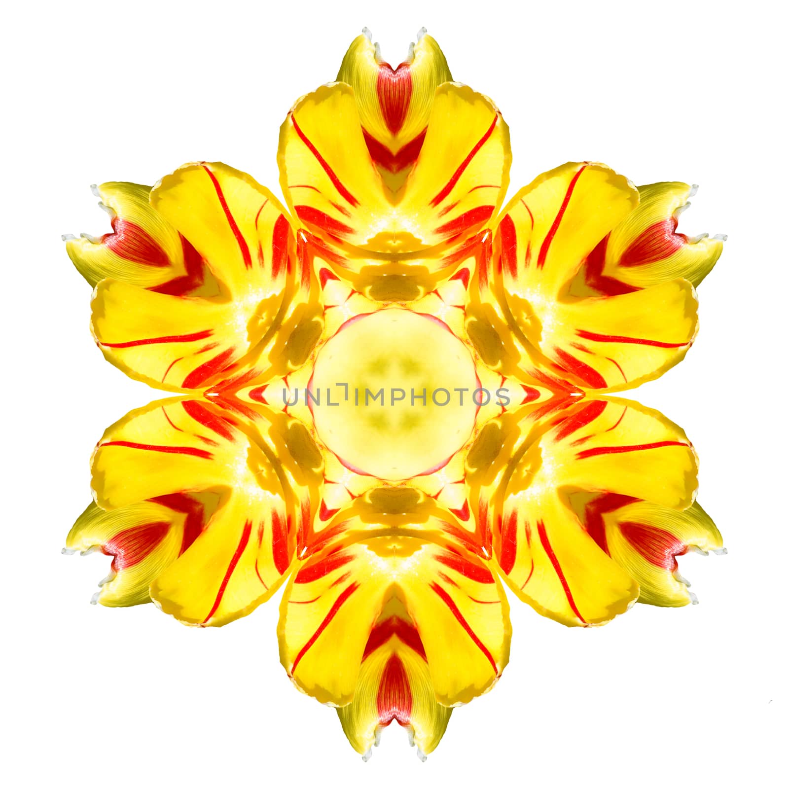 Flower mandala isolated on white background